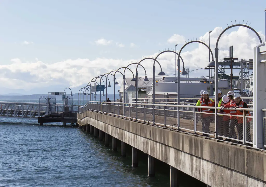 Pile-supported public pier and walkway extending over the water